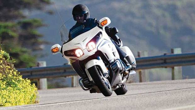 Nova Gold Wing