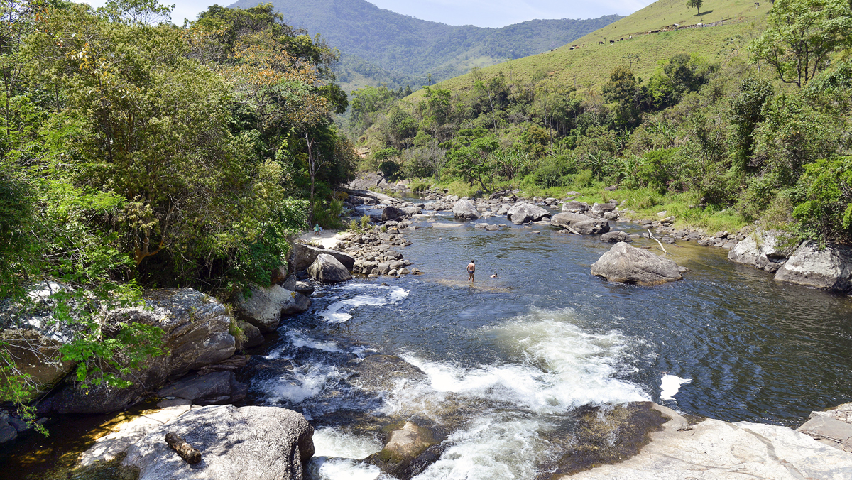 lumiar_ismar ingber_pulsar imagens