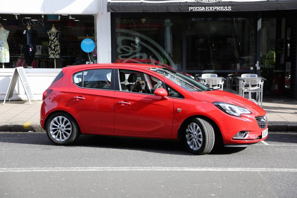 Vauxhall põe cachorro para demonstrar estacionamento autônomo