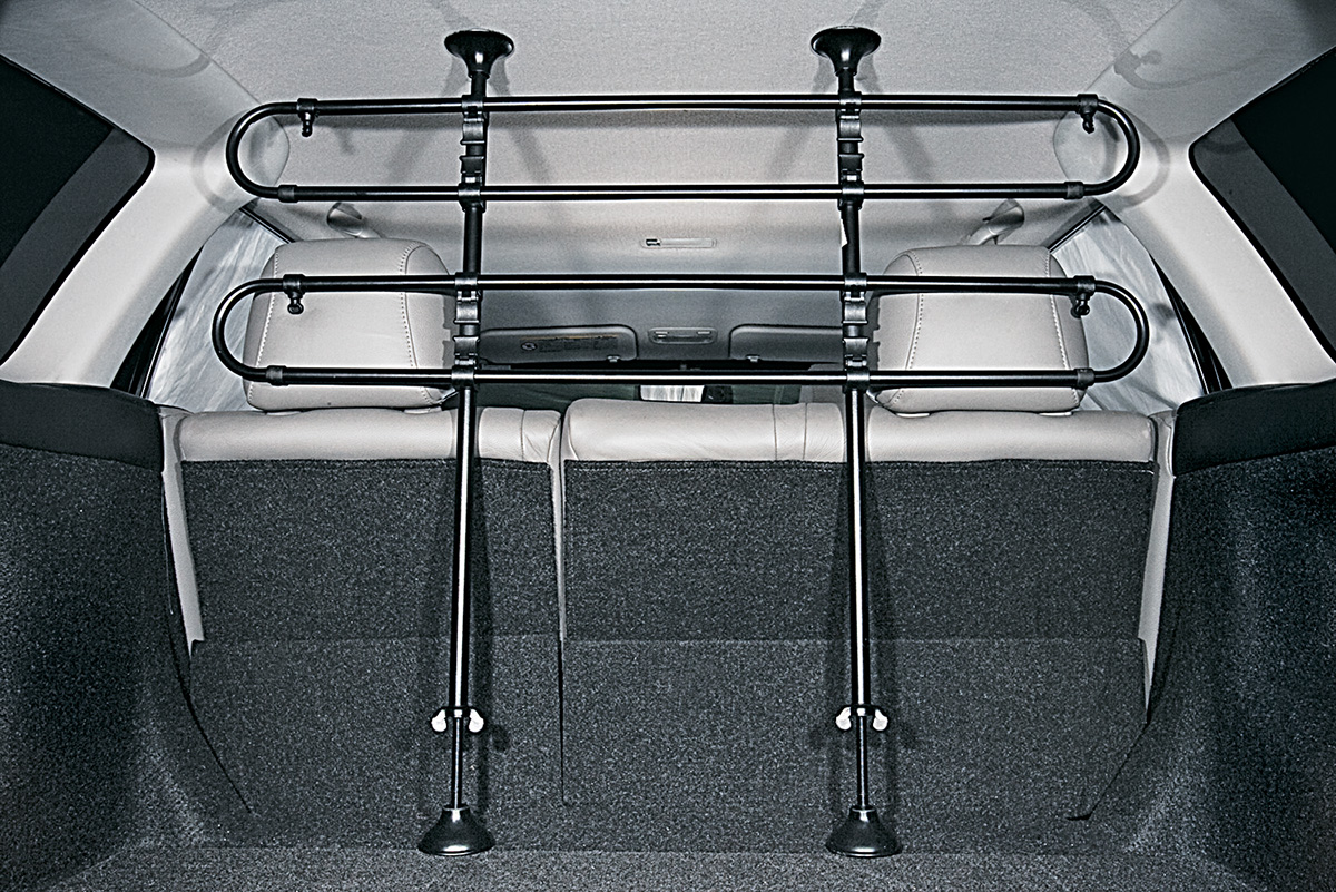 Viagem do c&atilde;o