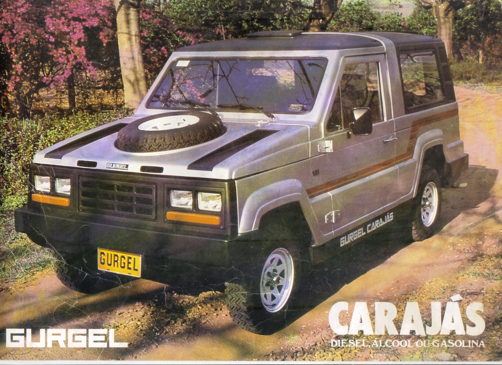 Gurgel Caraj&aacute;s