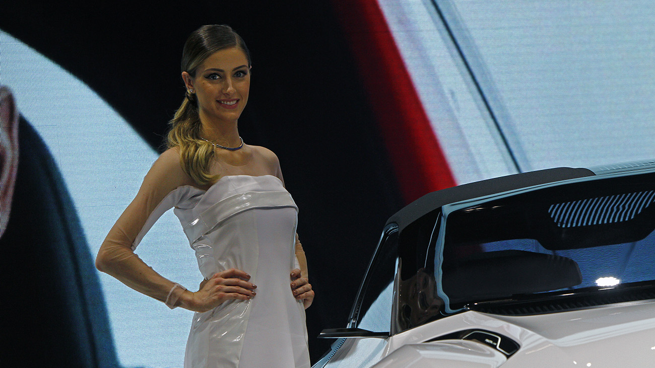 Gatas do Sal&atilde;o