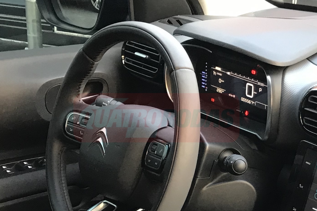 Citro&euml;n C4 Cactus Shine (4)