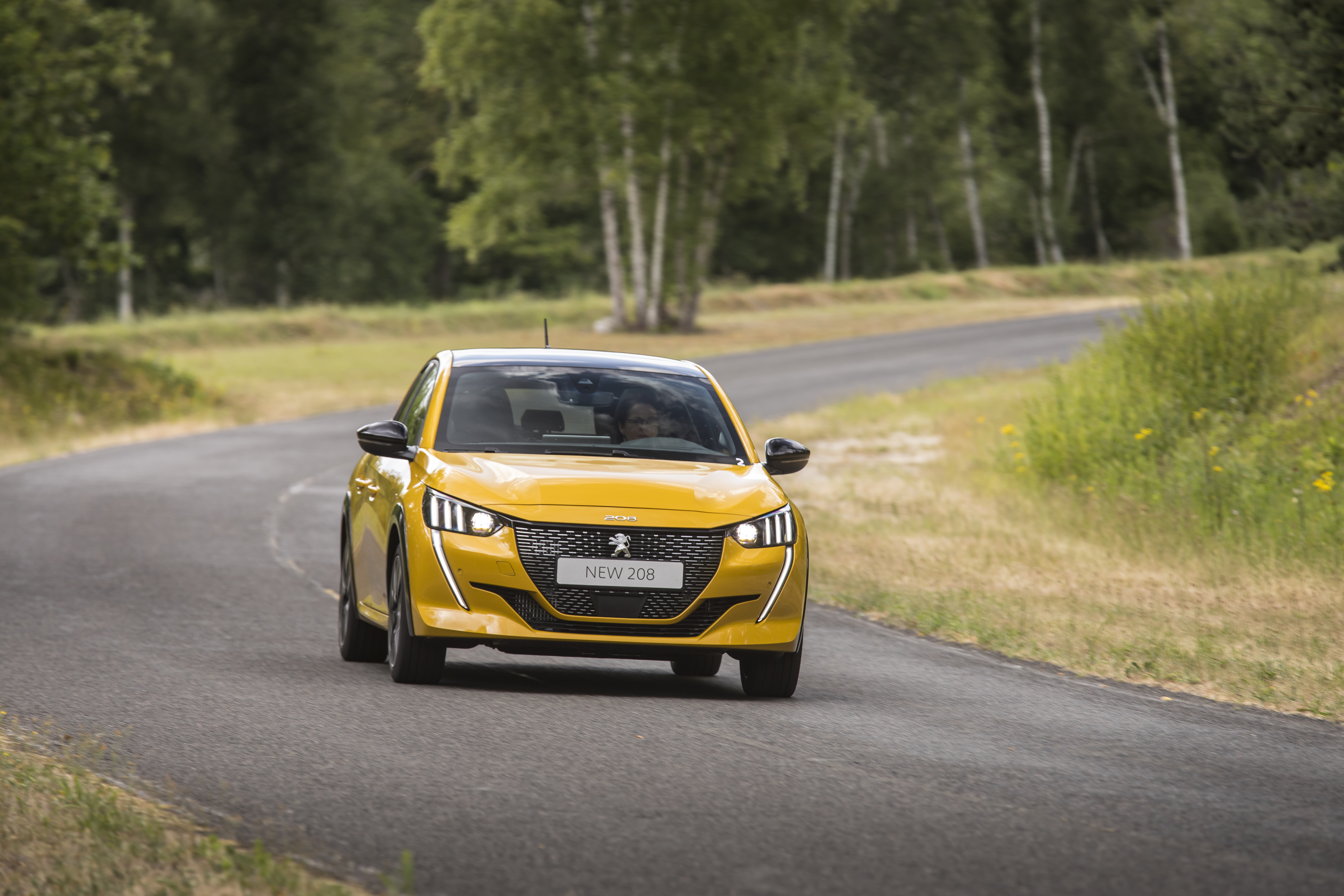 Peugeot 208 2020