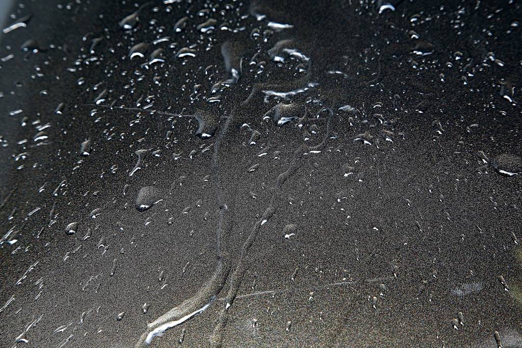 Aplicação do Dark Gloss, xampu que lava, encera e tira riscos. cera