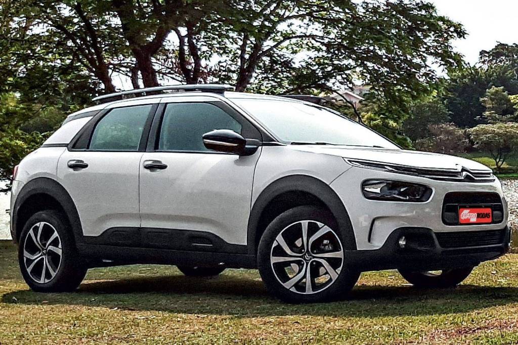 C4 Cactus Longa Duração 1 C4 Cactus Longa Duração 1