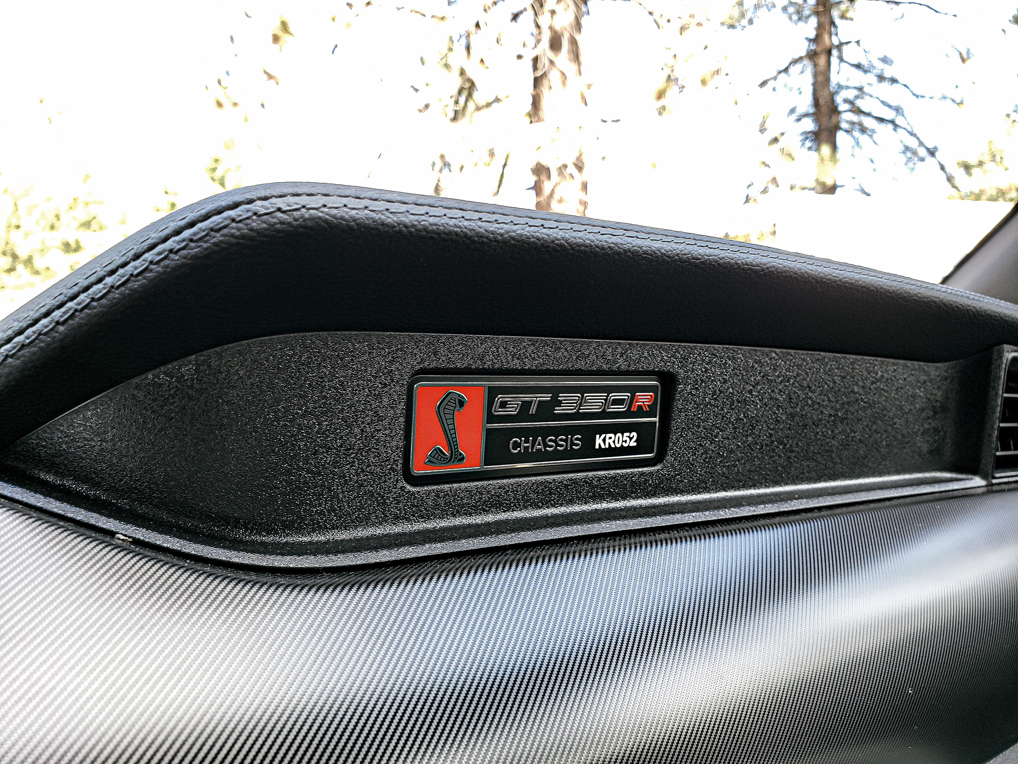 Ford Mustang GT350R (9)