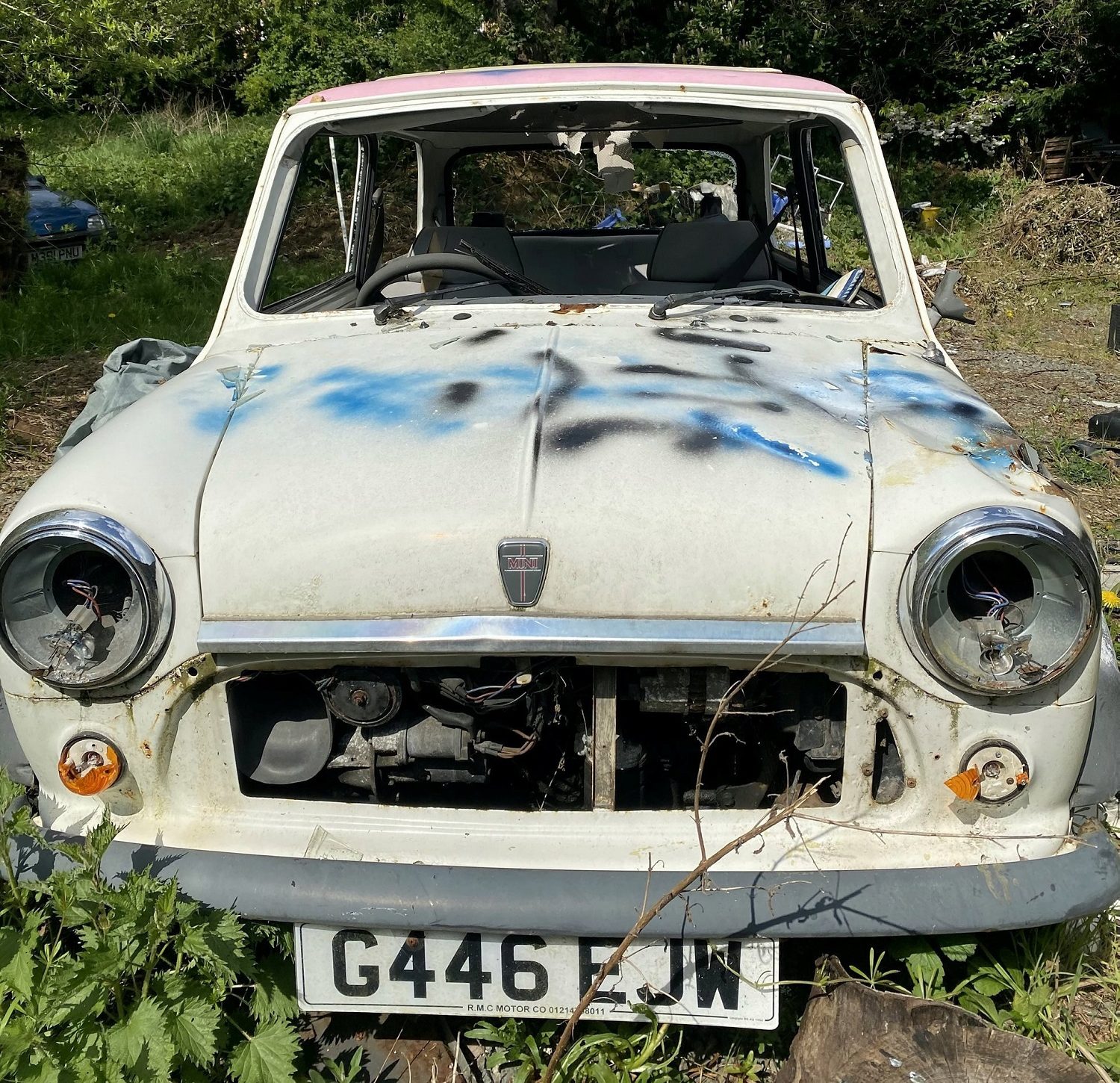 Teto em rosa pastel do Mini Rose foi perfurado, destruindo o estofamento interno