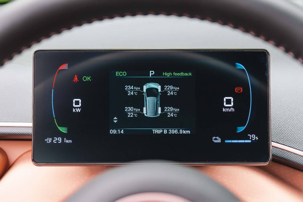 Dolphin Mini Dolphin Mini