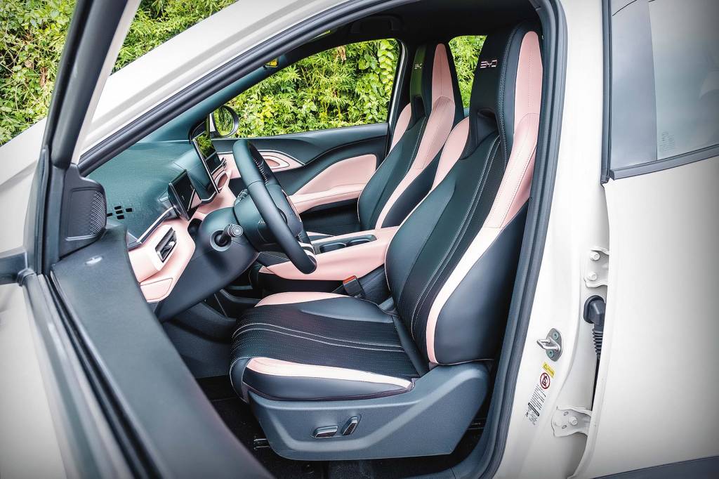 Dolphin Mini Dolphin Mini