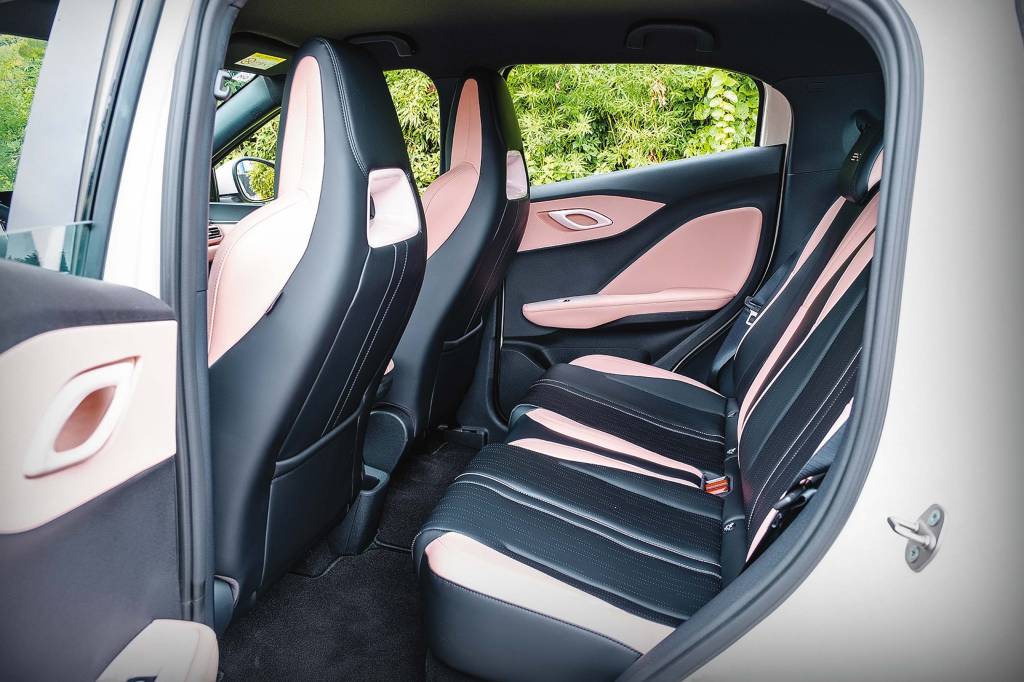 Dolphin Mini Dolphin Mini