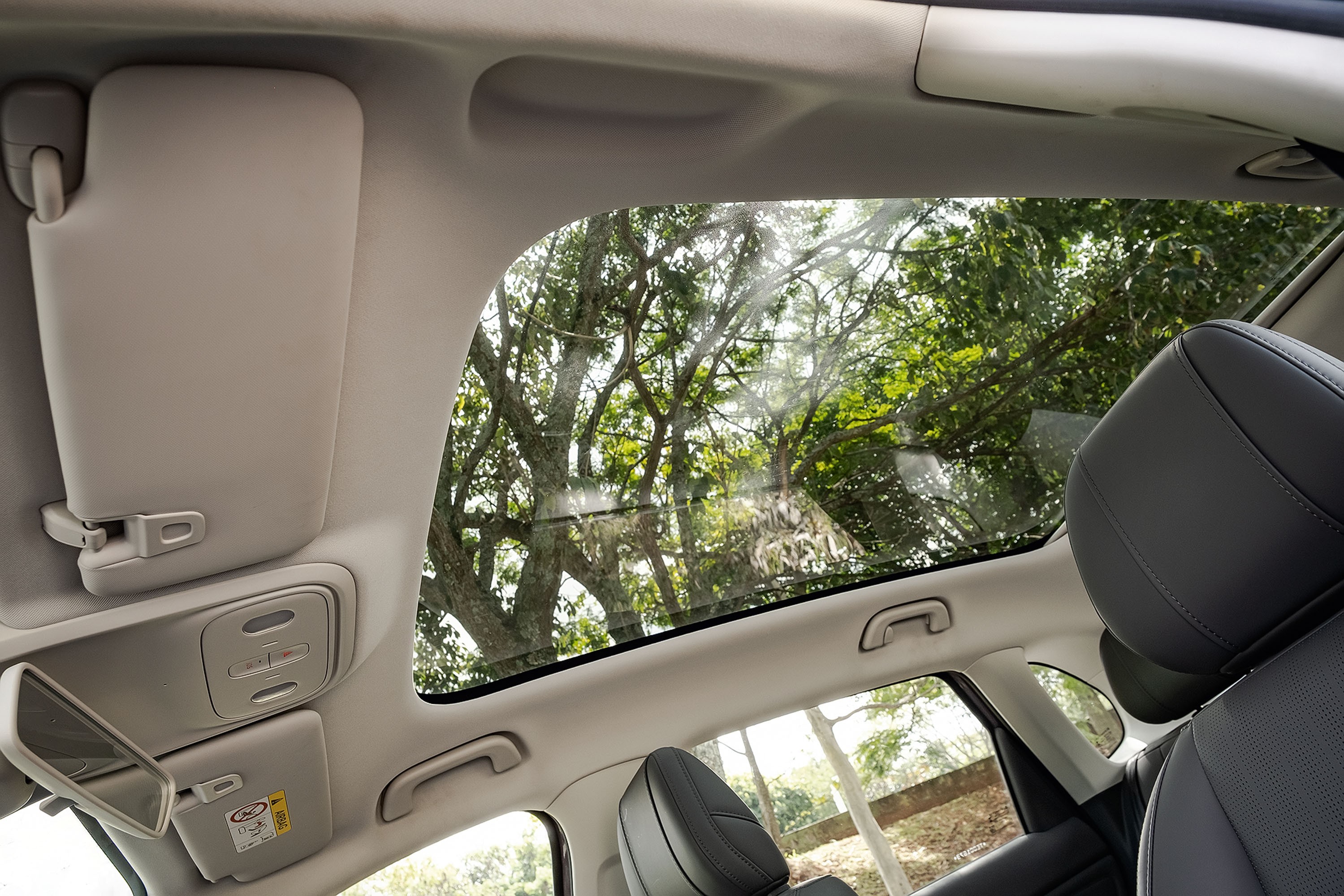 Interior de um carro com teto solar panor&acirc;mico, mostrando o para-sol esquerdo abaixado e o direito com espelho. Pelo teto e janelas laterais, v&ecirc;-se a copa de &aacute;rvores com folhas verdes e galhos secos, sob luz solar. O encosto de cabe&ccedil;a de um banco de couro preto aparece &agrave; direita