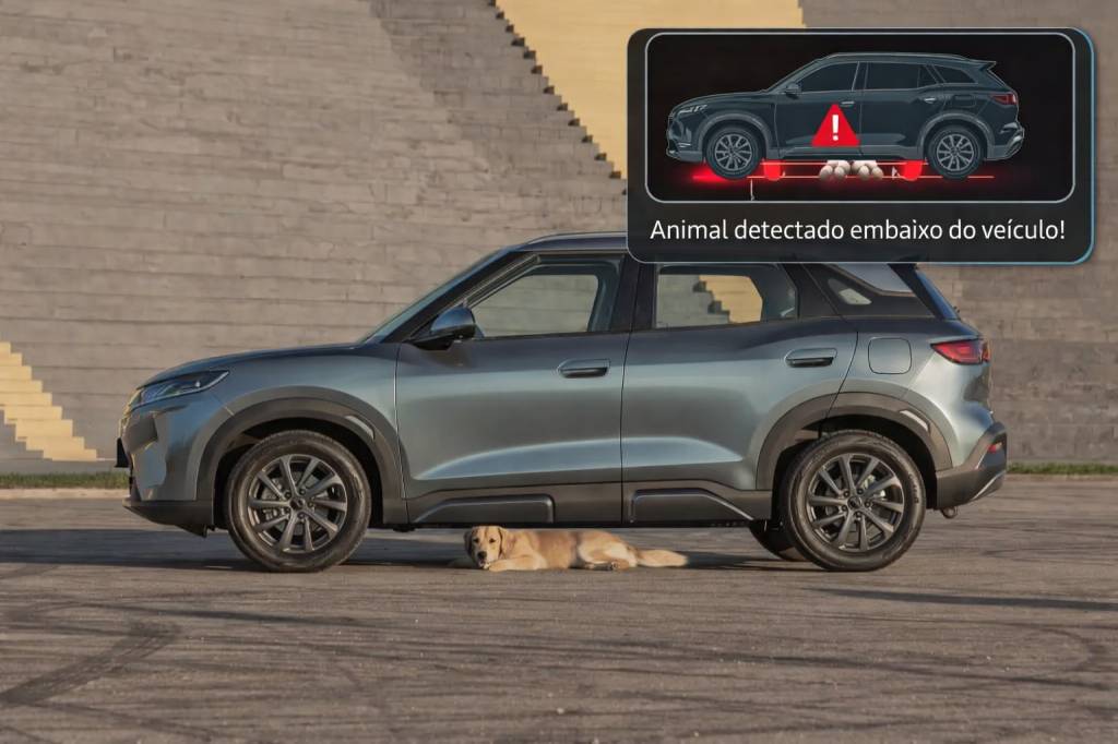 BYD desenvolve tecnologia inédita para identificar animais embaixo do carro